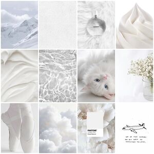 🤍Cloud Dancer (Pantone 2026 Color of the Year)